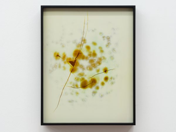 Peng Zuqiang, Untitled (Second Burning) #1, 2025
