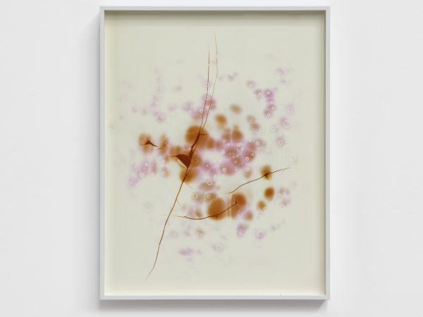 Peng Zuqiang, Untitled (Second Burning) #2, 2025