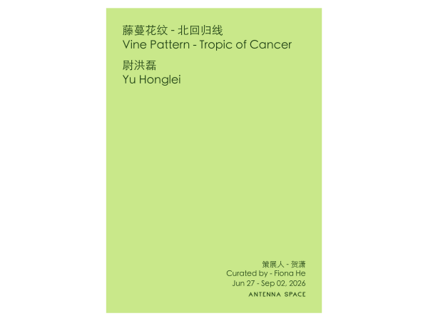 Yu Honglei: Vine Pattern - Tropic of Cancer