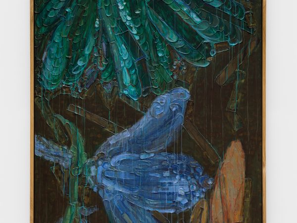 Guan Xiao, Feather, 2026