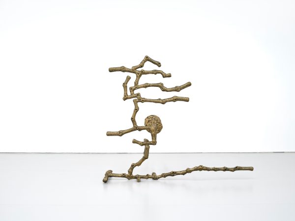 Guan Xiao, Mussel Migration, 2026