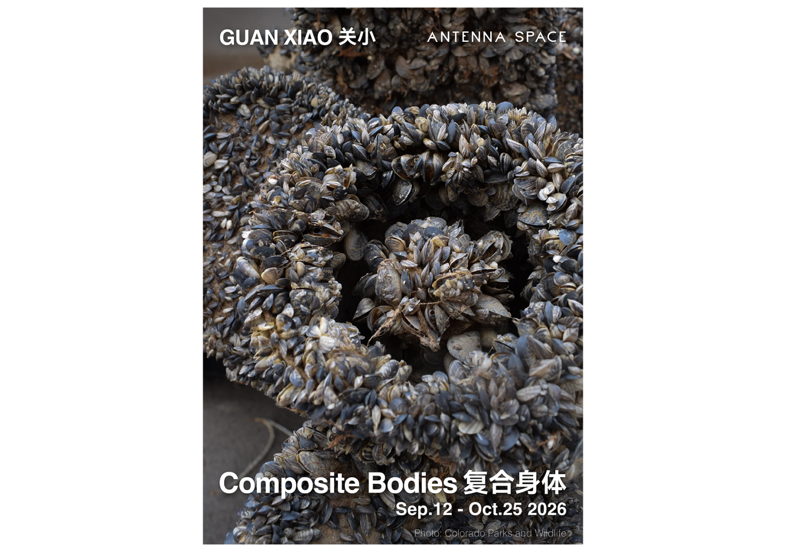 Guan Xiao: Composite Bodies