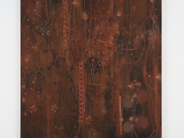 Guillaume Dénervaud, Exposure Reduced, 2026