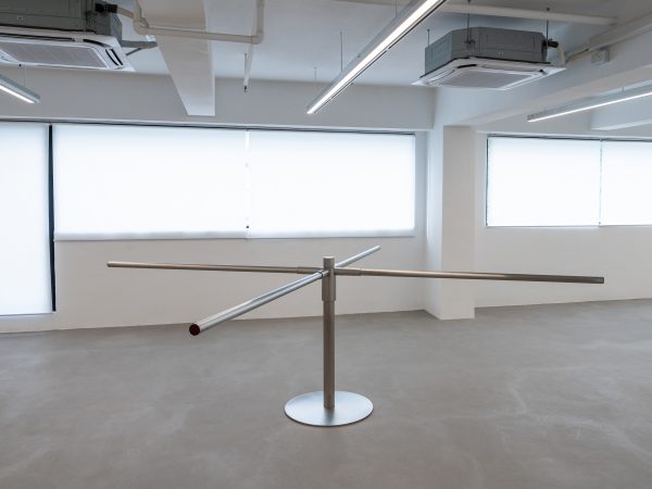 Guillaume Dénervaud, Unit2: The System Accepts New Hosts, 2026